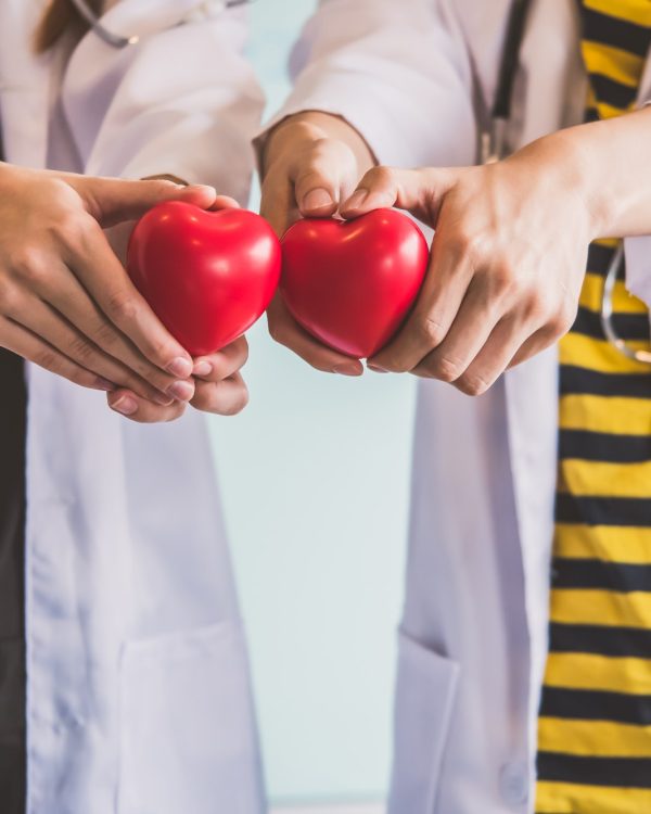Two doctors holding red heart, health care concept.